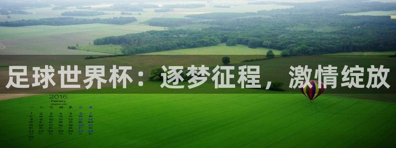 足球世界杯：逐梦征程，激情绽放