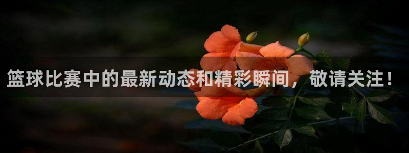 篮球比赛中的最新动态和精彩瞬间，敬请关注！