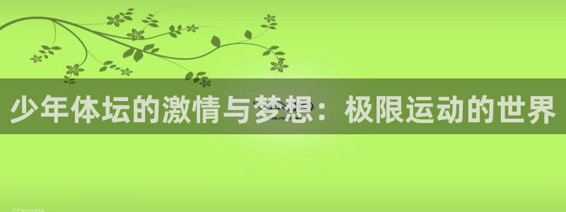 少年体坛的激情与梦想：极限运动的世界