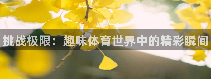 挑战极限：趣味体育世界中的精彩瞬间