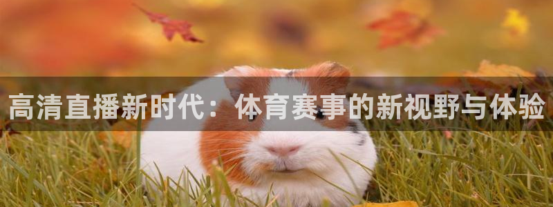 高清直播新时代：体育赛事的新视野与体验