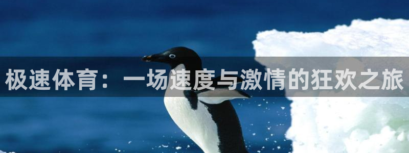 极速体育：一场速度与激情的狂欢之旅