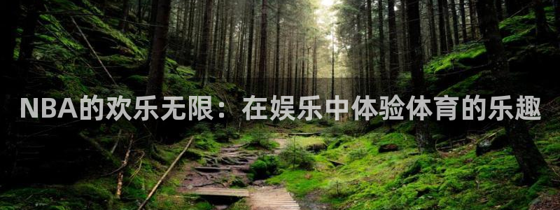 NBA的欢乐无限：在娱乐中体验体育的乐趣