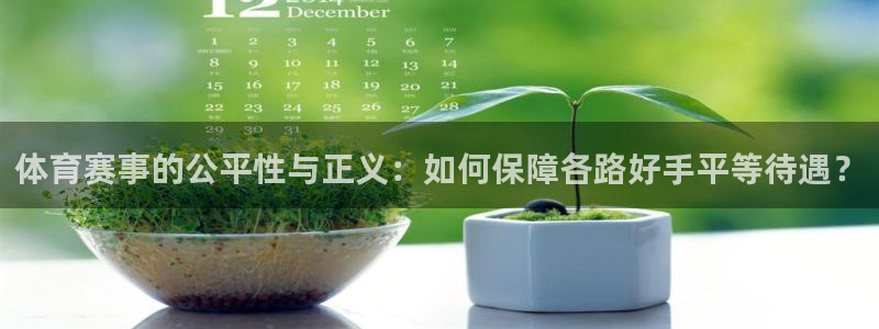 体育赛事的公平性与正义：如何保障各路好手平等待遇？