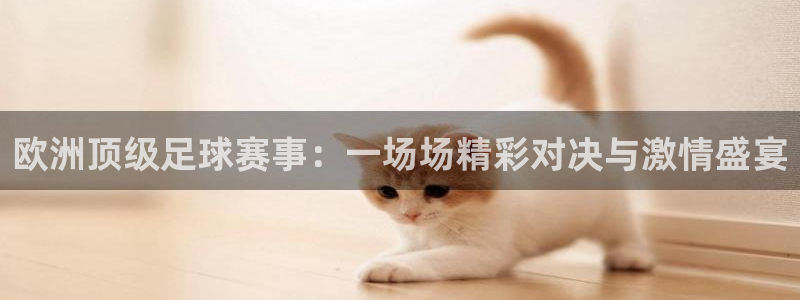 欧洲顶级足球赛事：一场场精彩对决与激情盛宴
