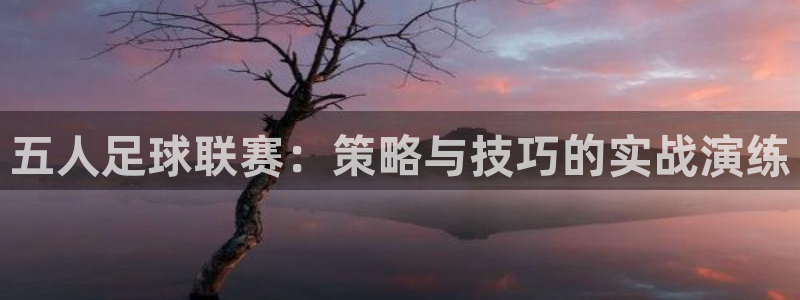 五人足球联赛：策略与技巧的实战演练
