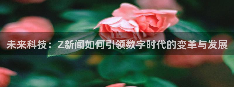 未来科技：Z新闻如何引领数字时代的变革与发展