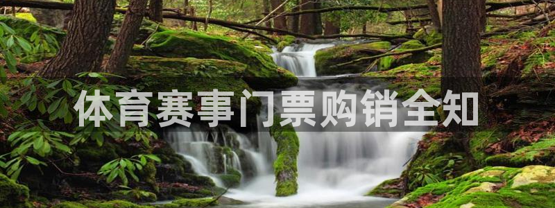 体育赛事门票购销全知