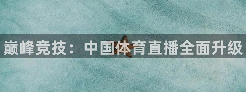 巅峰竞技：中国体育直播全面升级